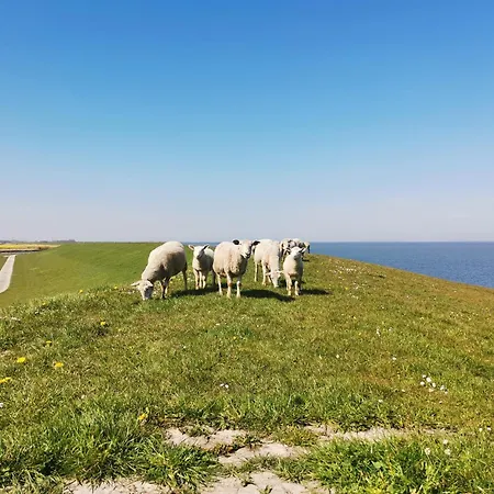Fischerhaeuschen Am Kurpark Neuharlingersiel
