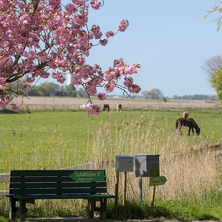 Fischerhäuschen Am Kurpark Ferienhaus